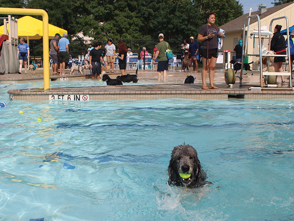 Doggie Paddle Swim