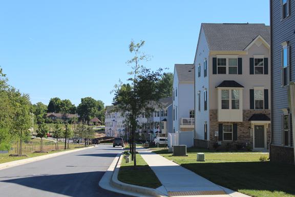 bloomvillage3