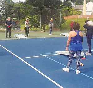 corn-hole-crop-web