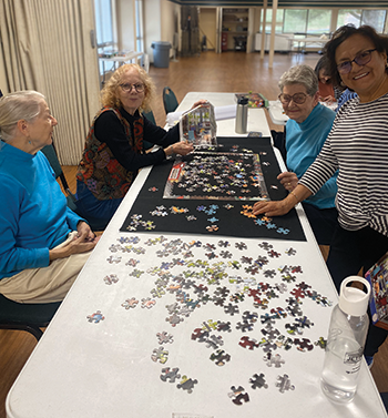 puzzle-palooza-web