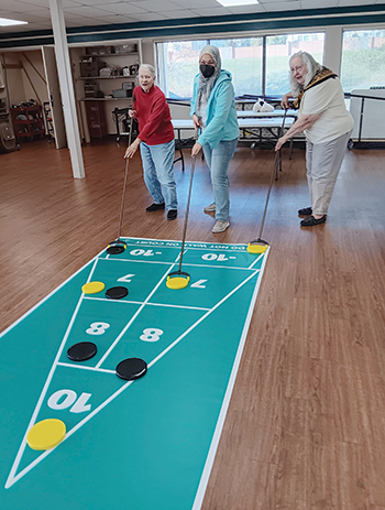 shuffleboard-2-web