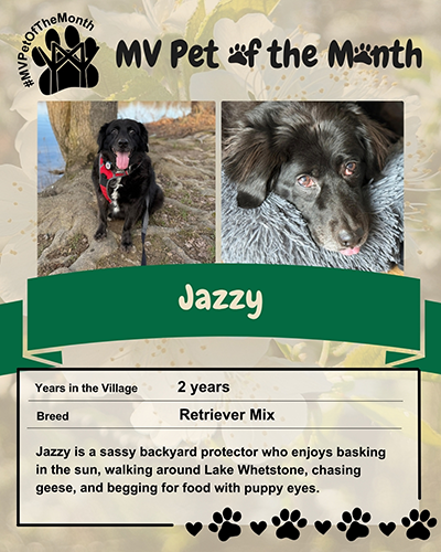 pet-of-the-month-april-jazzy_v2-small