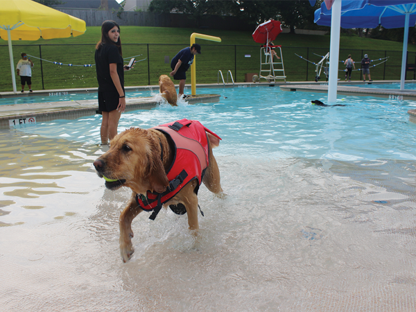 Doggie Paddle Swim