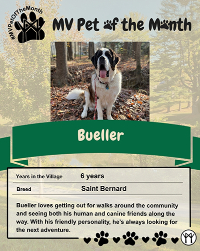 pet-of-the-month_august_bueller-small