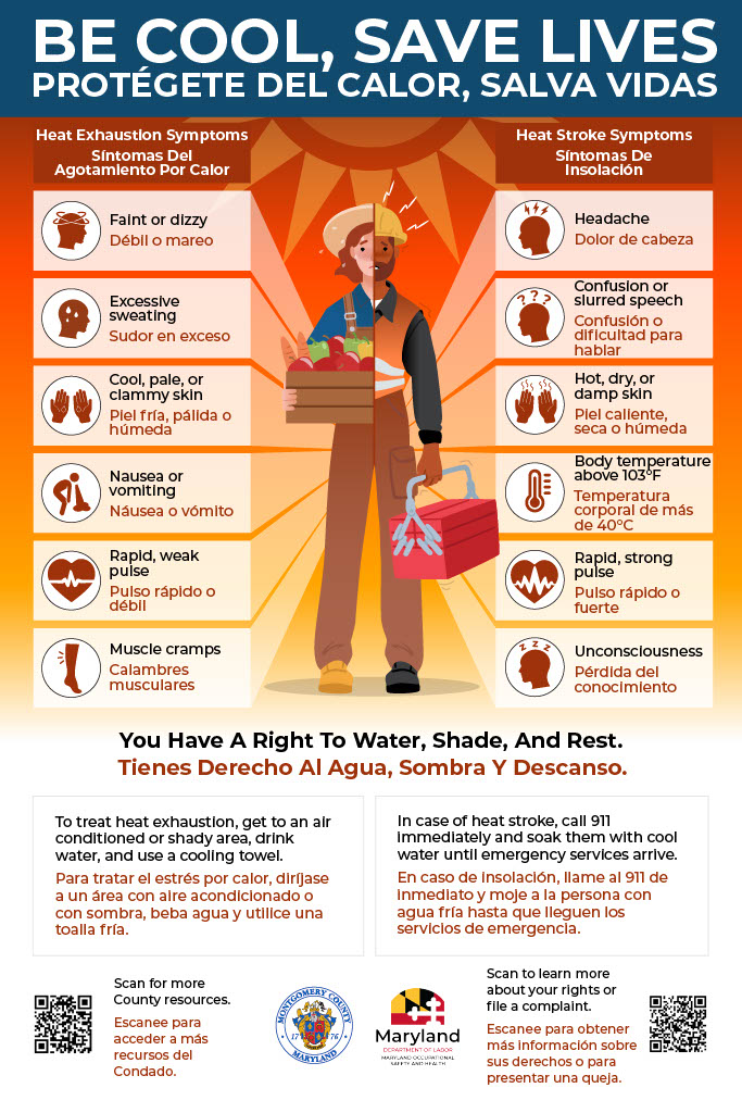 Be Cool Extreme Heat Poster with symptoms of heat exhaustion and heat stroke listed