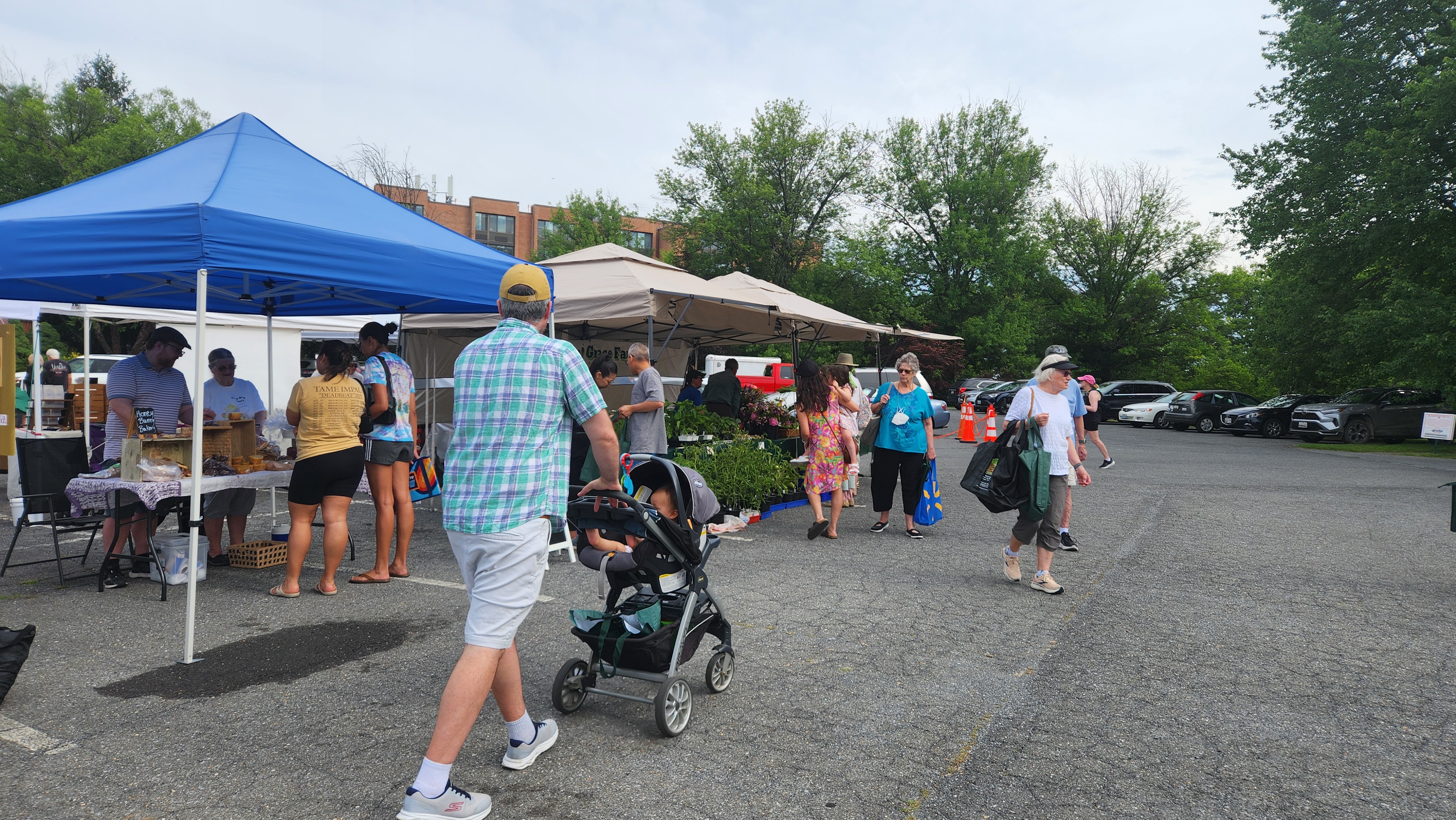 MV Farmers' Market