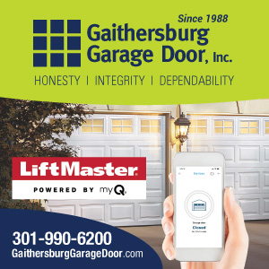 ggd smart liftmaster 300x300