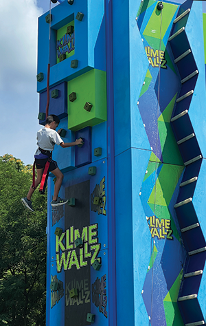 Klime Wallz WEB