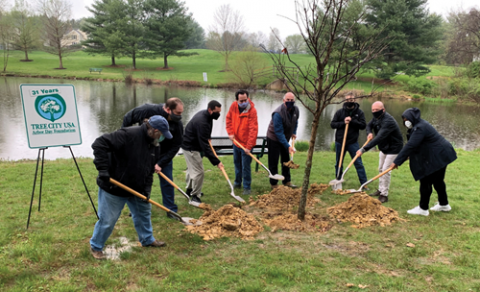 treeplanting