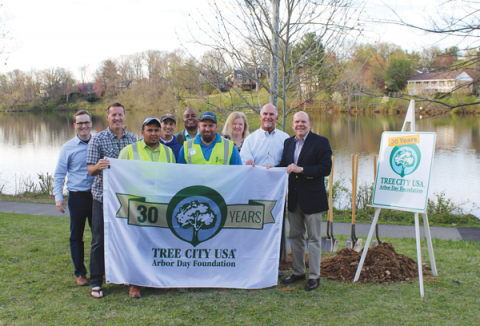 tree-planting