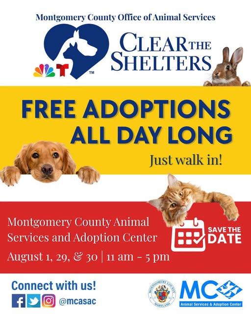 Clear-the-Shelters-Flyer